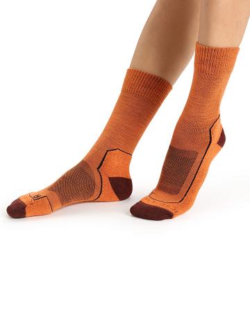 Flash / Espresso Icebreaker Merino Hike+ Light Crew Women's Socks | AU 1424CTVE